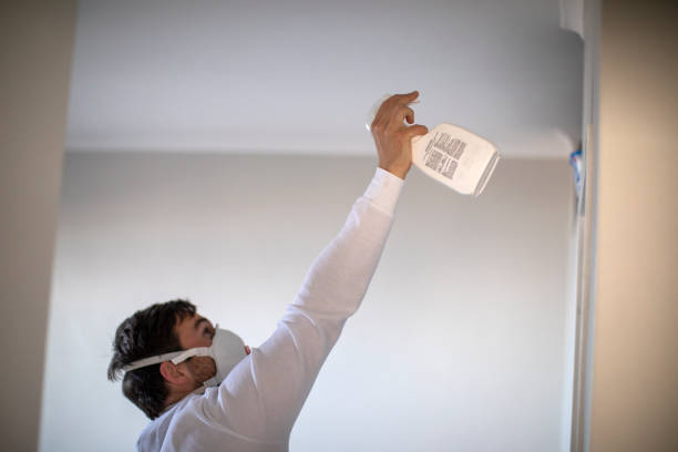 Best Office Mold Removal Services  in New London, WI